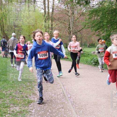 19.04.2026 - Hammer Lauf Lena Gebhardt http://msf.ph/oto/9562573 19.04.2026 09:26:23 Laufen 1737, 1520, 1098, 06, 15, 14, 1838, 640 meine-sportfotos.de