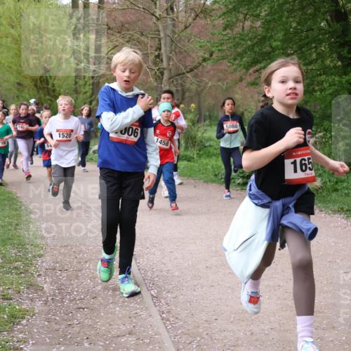 19.04.2026 - Hammer Lauf Lena Gebhardt http://msf.ph/oto/9562583 19.04.2026 09:26:25 Laufen 1716, 142, 14, 1520, 06, 1458, 1080, 16, 165, 16, 17 meine-sportfotos.de