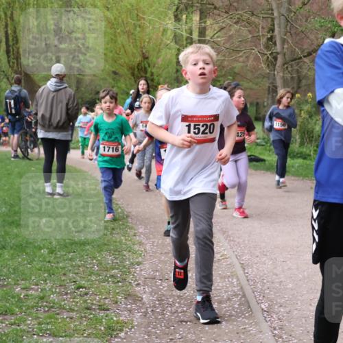 19.04.2026 - Hammer Lauf Lena Gebhardt http://msf.ph/oto/9562586 19.04.2026 09:26:27 Laufen 14, 1716, 16, 1520, 425, 1156, 06 meine-sportfotos.de