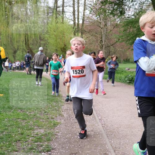 19.04.2026 - Hammer Lauf Lena Gebhardt http://msf.ph/oto/9562587 19.04.2026 09:26:27 Laufen 1716, 1520, 1156, 818 meine-sportfotos.de
