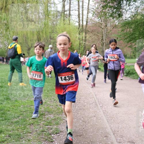 19.04.2026 - Hammer Lauf Lena Gebhardt http://msf.ph/oto/9562591 19.04.2026 09:26:29 Laufen 1716, 16, 1436, 145, 1635, 16, 142 meine-sportfotos.de
