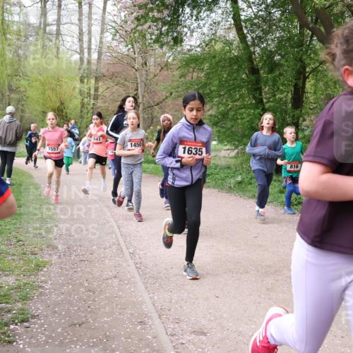 19.04.2026 - Hammer Lauf Lena Gebhardt http://msf.ph/oto/9562593 19.04.2026 09:26:30 Laufen 436, 1541, 1450, 1557, 1635, 16, 816 meine-sportfotos.de