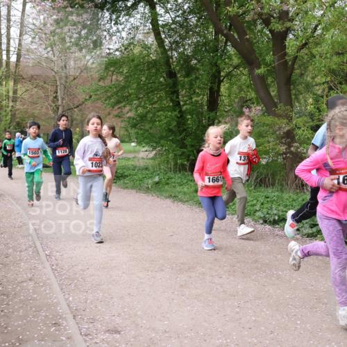 19.04.2026 - Hammer Lauf Lena Gebhardt http://msf.ph/oto/9562603 19.04.2026 09:26:32 Laufen 598, 1503, 1128, 1023, 1661, 137, 16, 1664 meine-sportfotos.de