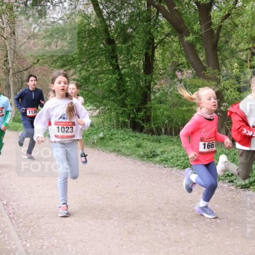 19.04.2026 - Hammer Lauf Lena Gebhardt http://msf.ph/oto/9562604 19.04.2026 09:26:32 Laufen 598, 1238, 1503, 1128, 1023, 1661, 13 meine-sportfotos.de