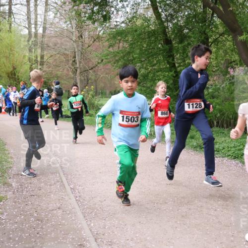 19.04.2026 - Hammer Lauf Lena Gebhardt http://msf.ph/oto/9562608 19.04.2026 09:26:34 Laufen 59, 1855, 1238, 16, 1503, 1128, 868, 16, 1427 meine-sportfotos.de