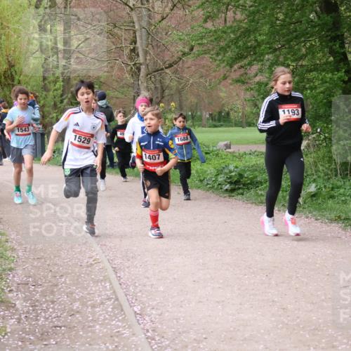 19.04.2026 - Hammer Lauf Lena Gebhardt http://msf.ph/oto/9562616 19.04.2026 09:26:37 Laufen 1367, 1701, 1543, 1529, 49, 1407, 1688, 1193, 855 meine-sportfotos.de