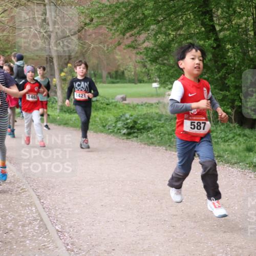 19.04.2026 - Hammer Lauf Lena Gebhardt http://msf.ph/oto/9562634 19.04.2026 09:26:41 Laufen 591, 1463, 1421, 16, 587 meine-sportfotos.de
