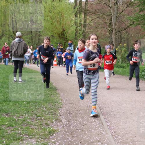 19.04.2026 - Hammer Lauf Lena Gebhardt http://msf.ph/oto/9562636 19.04.2026 09:26:42 Laufen 151, 15, 1463, 591, 1421 meine-sportfotos.de