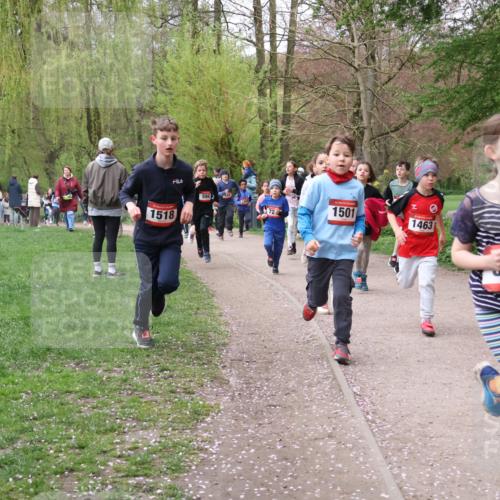 19.04.2026 - Hammer Lauf Lena Gebhardt http://msf.ph/oto/9562639 19.04.2026 09:26:42 Laufen 1518, 594, 1501, 72, 1463, 31 meine-sportfotos.de