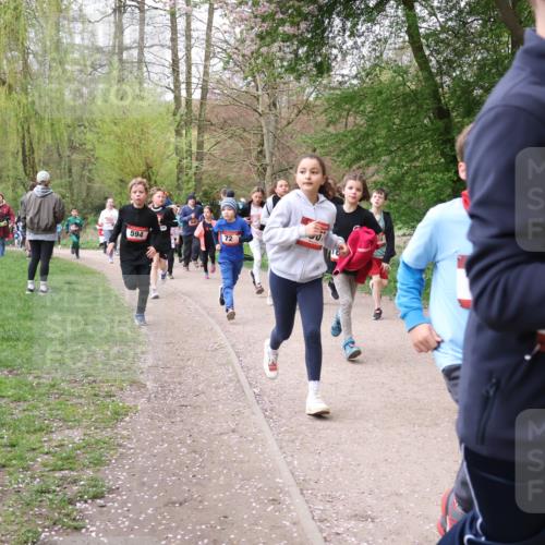 19.04.2026 - Hammer Lauf Lena Gebhardt http://msf.ph/oto/9562644 19.04.2026 09:26:44 Laufen 594, 72 meine-sportfotos.de