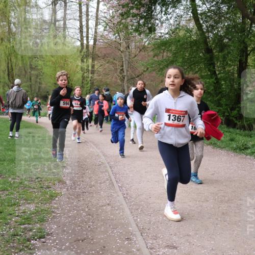 19.04.2026 - Hammer Lauf Lena Gebhardt http://msf.ph/oto/9562646 19.04.2026 09:26:44 Laufen 594, 184, 1367, 16 meine-sportfotos.de
