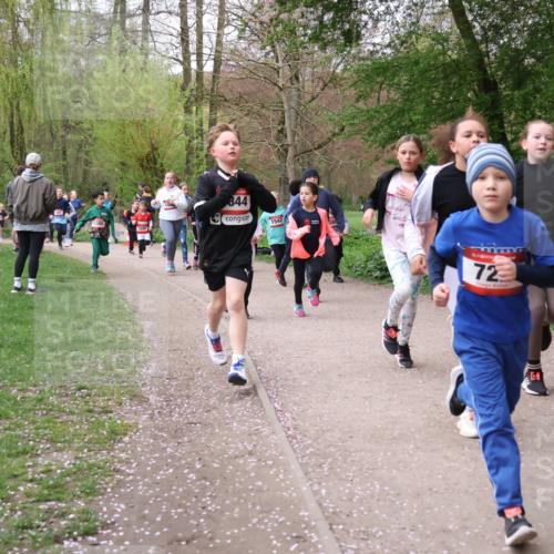 19.04.2026 - Hammer Lauf Lena Gebhardt http://msf.ph/oto/9562652 19.04.2026 09:26:46 Laufen 1245, 844, 1542, 72, 88 meine-sportfotos.de