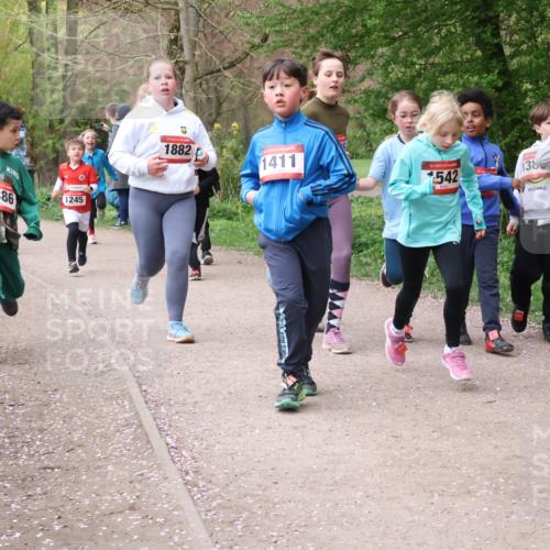 19.04.2026 - Hammer Lauf Lena Gebhardt http://msf.ph/oto/9562661 19.04.2026 09:26:48 Laufen 1058, 1386, 1245, 1882, 1411, 16, 1542, 138 meine-sportfotos.de
