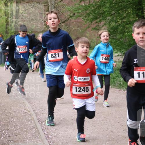 19.04.2026 - Hammer Lauf Lena Gebhardt http://msf.ph/oto/9562671 19.04.2026 09:26:51 Laufen 1414, 1058, 821, 1460, 16, 1245, 16, 1139, 16 meine-sportfotos.de