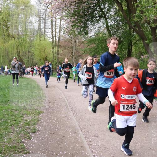 19.04.2026 - Hammer Lauf Lena Gebhardt http://msf.ph/oto/9562674 19.04.2026 09:26:52 Laufen 1414, 1555, 58, 370, 821, 1245, 1451, 16, 11 meine-sportfotos.de