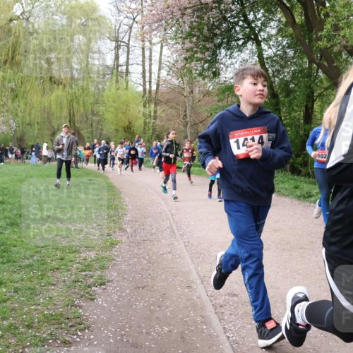 19.04.2026 - Hammer Lauf Lena Gebhardt http://msf.ph/oto/9562682 19.04.2026 09:26:55 Laufen 16, 144, 102 meine-sportfotos.de