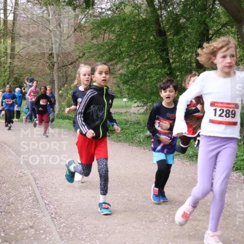 19.04.2026 - Hammer Lauf Lena Gebhardt http://msf.ph/oto/9562686 19.04.2026 09:26:56 Laufen 20, 853, 894, 1057, 1429, 19, 16, 1289 meine-sportfotos.de
