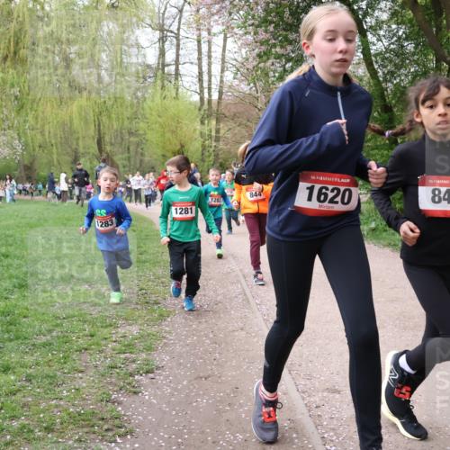 19.04.2026 - Hammer Lauf Lena Gebhardt http://msf.ph/oto/9562711 19.04.2026 09:27:02 Laufen 1283, 1282, 1281, 844, 16, 1620, 16, 846 meine-sportfotos.de