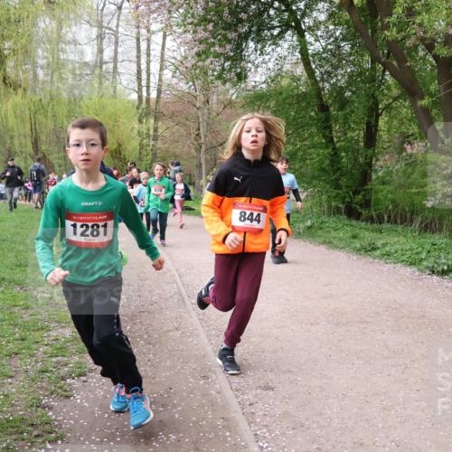 19.04.2026 - Hammer Lauf Lena Gebhardt http://msf.ph/oto/9562716 19.04.2026 09:27:03 Laufen 970, 1112, 16, 1281, 844 meine-sportfotos.de