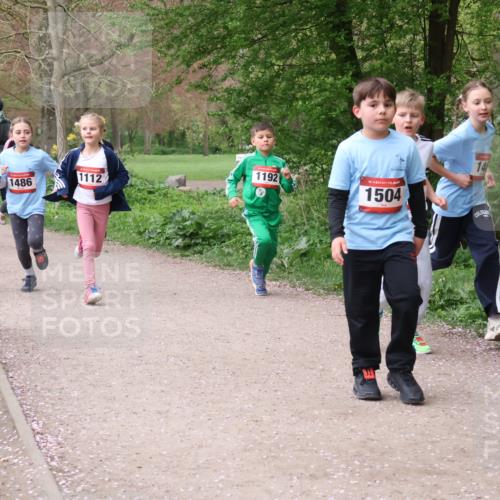 19.04.2026 - Hammer Lauf Lena Gebhardt http://msf.ph/oto/9562722 19.04.2026 09:27:04 Laufen 14, 16, 970, 1486, 1112, 1192, 16, 1504 meine-sportfotos.de