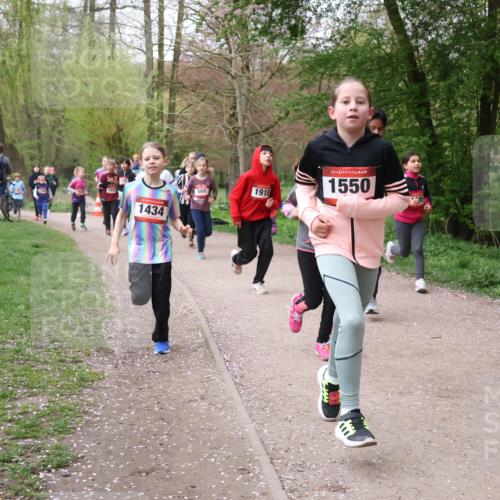 19.04.2026 - Hammer Lauf Lena Gebhardt http://msf.ph/oto/9562732 19.04.2026 09:27:07 Laufen 1812, 1434, 560, 1918, 16, 1550 meine-sportfotos.de
