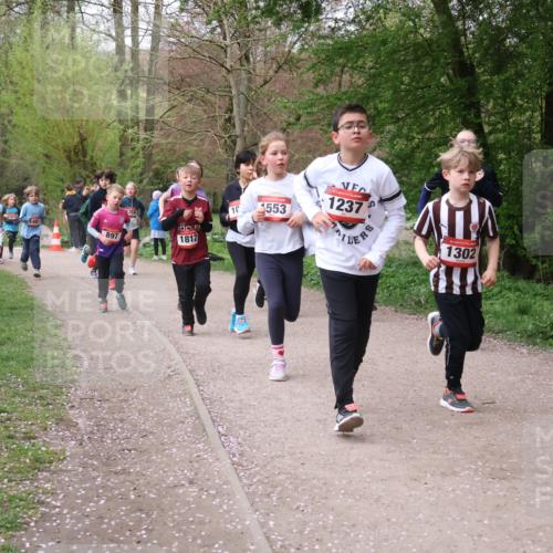 19.04.2026 - Hammer Lauf Lena Gebhardt http://msf.ph/oto/9562747 19.04.2026 09:27:10 Laufen 1382, 481, 897, 358, 1812, 553, 1237, 1302 meine-sportfotos.de
