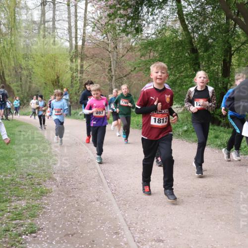 19.04.2026 - Hammer Lauf Lena Gebhardt http://msf.ph/oto/9562755 19.04.2026 09:27:12 Laufen 1382, 1481, 897, 1789, 1812, 12, 16, 1094 meine-sportfotos.de