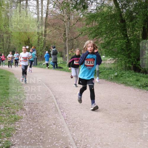 19.04.2026 - Hammer Lauf Lena Gebhardt http://msf.ph/oto/9562773 19.04.2026 09:27:17 Laufen 1406, 12, 144, 1313 meine-sportfotos.de