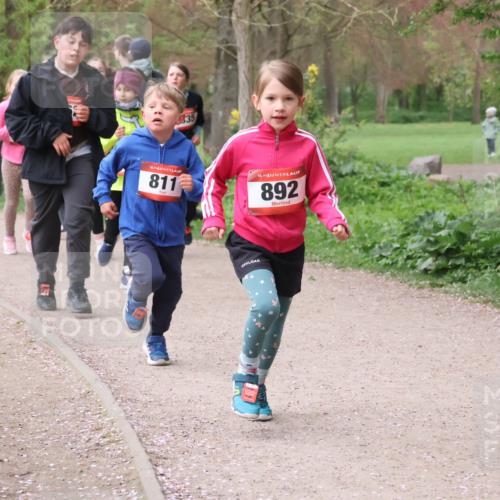 19.04.2026 - Hammer Lauf Lena Gebhardt http://msf.ph/oto/9562795 19.04.2026 09:27:24 Laufen 835, 880, 16, 811, 16, 892, 16, 497 meine-sportfotos.de