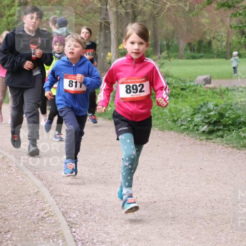 19.04.2026 - Hammer Lauf Lena Gebhardt http://msf.ph/oto/9562796 19.04.2026 09:27:24 Laufen 880, 2, 1835, 16, 811, 16, 892, 16, 497 meine-sportfotos.de