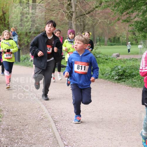 19.04.2026 - Hammer Lauf Lena Gebhardt http://msf.ph/oto/9562798 19.04.2026 09:27:25 Laufen 1327, 822, 1363, 880, 62, 35, 16, 811, 892 meine-sportfotos.de