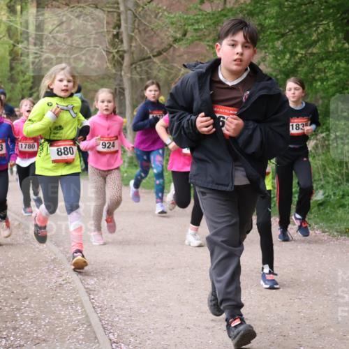 19.04.2026 - Hammer Lauf Lena Gebhardt http://msf.ph/oto/9562802 19.04.2026 09:27:26 Laufen 1327, 924, 1363, 1780, 880, 183 meine-sportfotos.de