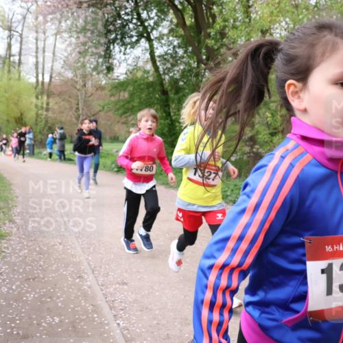 19.04.2026 - Hammer Lauf Lena Gebhardt http://msf.ph/oto/9562809 19.04.2026 09:27:29 Laufen 80, 27, 16, 136 meine-sportfotos.de