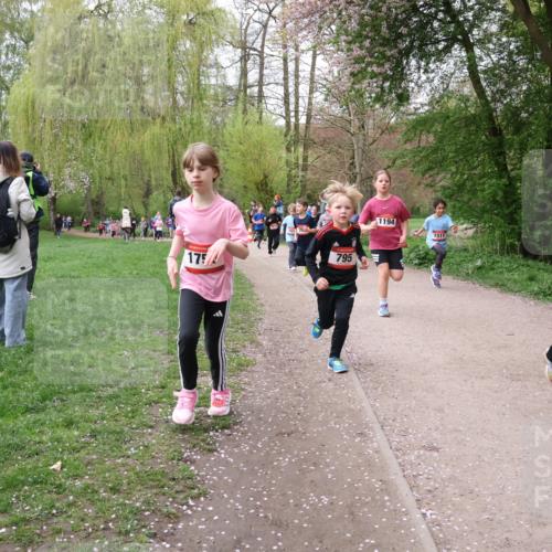 19.04.2026 - Hammer Lauf Lena Gebhardt http://msf.ph/oto/9562827 19.04.2026 09:27:38 Laufen 795, 175, 1194, 1511, 16, 1254 meine-sportfotos.de