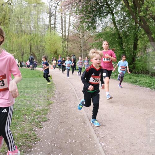 19.04.2026 - Hammer Lauf Lena Gebhardt http://msf.ph/oto/9562828 19.04.2026 09:27:39 Laufen 1753, 1514, 700, 1133, 1194, 795, 1511 meine-sportfotos.de