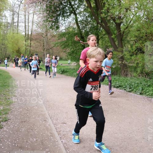 19.04.2026 - Hammer Lauf Lena Gebhardt http://msf.ph/oto/9562830 19.04.2026 09:27:39 Laufen 1512, 16, 795, 1511 meine-sportfotos.de