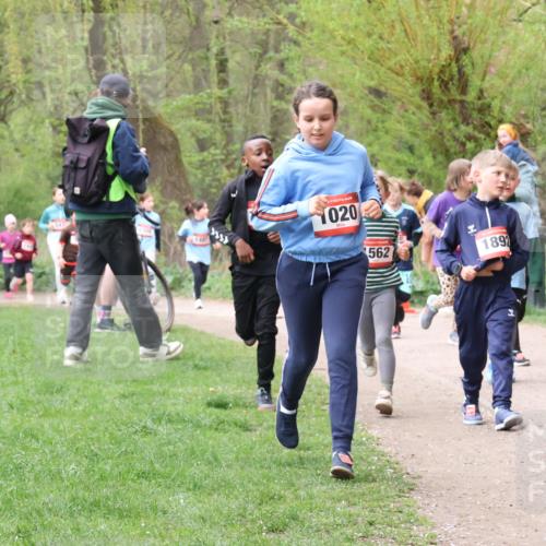 19.04.2026 - Hammer Lauf Lena Gebhardt http://msf.ph/oto/9562846 19.04.2026 09:27:46 Laufen 140, 1020, 562, 155, 1892, 144 meine-sportfotos.de