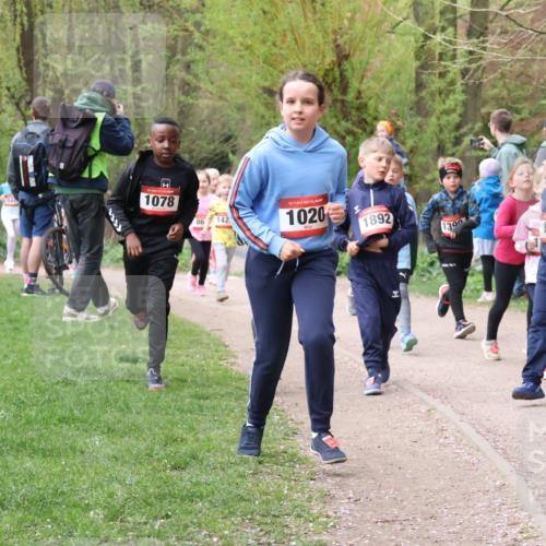 19.04.2026 - Hammer Lauf Lena Gebhardt http://msf.ph/oto/9562847 19.04.2026 09:27:47 Laufen 1078, 86, 142, 16, 1020, 1892, 1300, 841 meine-sportfotos.de