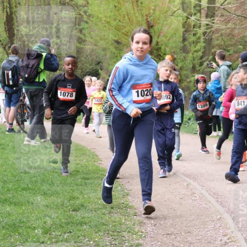 19.04.2026 - Hammer Lauf Lena Gebhardt http://msf.ph/oto/9562848 19.04.2026 09:27:47 Laufen 1078, 1422, 16, 1020, 892, 1399, 841 meine-sportfotos.de