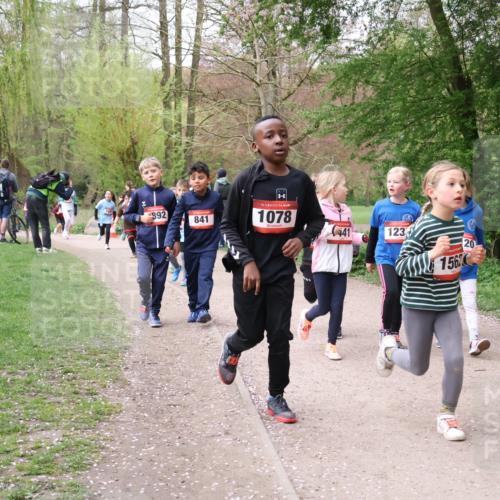 19.04.2026 - Hammer Lauf Lena Gebhardt http://msf.ph/oto/9562852 19.04.2026 09:27:50 Laufen 892, 841, 16, 1078, 123, 1562, 20 meine-sportfotos.de
