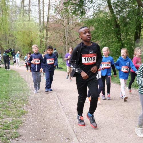19.04.2026 - Hammer Lauf Lena Gebhardt http://msf.ph/oto/9562853 19.04.2026 09:27:51 Laufen 892, 841, 16, 1078, 15, 1235, 1120, 62 meine-sportfotos.de