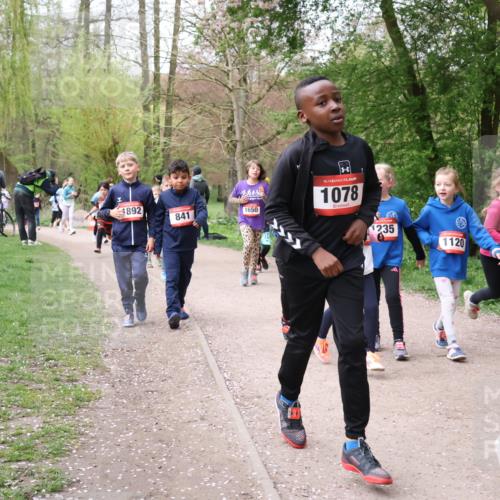 19.04.2026 - Hammer Lauf Lena Gebhardt http://msf.ph/oto/9562854 19.04.2026 09:27:51 Laufen 16, 1078, 892, 841, 1650, 1235, 155, 1120, 1502 meine-sportfotos.de