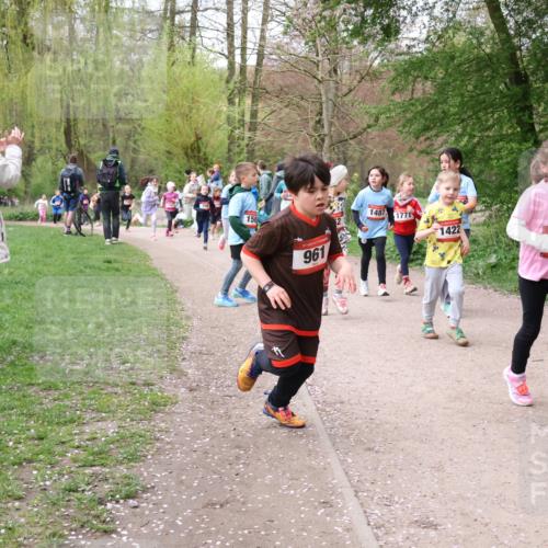 19.04.2026 - Hammer Lauf Lena Gebhardt http://msf.ph/oto/9562861 19.04.2026 09:27:54 Laufen 150, 961, 1487, 1771, 1422, 16, 66 meine-sportfotos.de