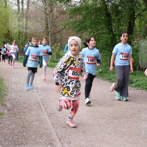 19.04.2026 - Hammer Lauf Lena Gebhardt http://msf.ph/oto/9562867 19.04.2026 09:27:56 Laufen 1505, 1508, 16, 852, 1487, 1496, 16, 1422 meine-sportfotos.de