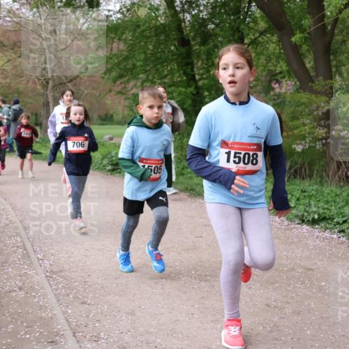 19.04.2026 - Hammer Lauf Lena Gebhardt http://msf.ph/oto/9562873 19.04.2026 09:27:58 Laufen 17, 9, 144, 706, 505, 16, 1508 meine-sportfotos.de