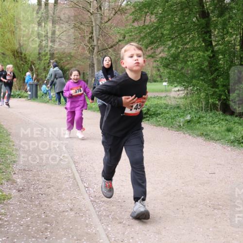 19.04.2026 - Hammer Lauf Lena Gebhardt http://msf.ph/oto/9562910 19.04.2026 09:28:18 Laufen 1446, 378, 45 meine-sportfotos.de