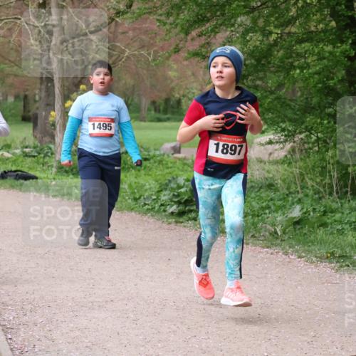 19.04.2026 - Hammer Lauf Lena Gebhardt http://msf.ph/oto/9562946 19.04.2026 09:28:45 Laufen 1064, 1495, 16, 1897 meine-sportfotos.de