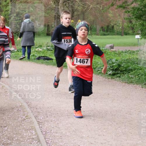 19.04.2026 - Hammer Lauf Lena Gebhardt http://msf.ph/oto/9562954 19.04.2026 09:28:49 Laufen 6, 16, 365, 16, 1536, 16, 16, 1467 meine-sportfotos.de