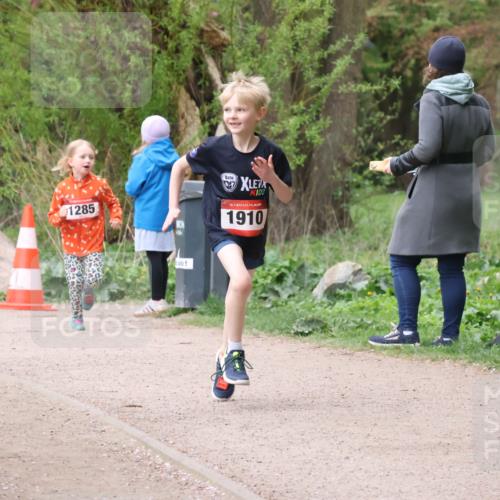 19.04.2026 - Hammer Lauf Lena Gebhardt http://msf.ph/oto/9562964 19.04.2026 09:28:54 Laufen 1265, 1285, 16, 1910 meine-sportfotos.de