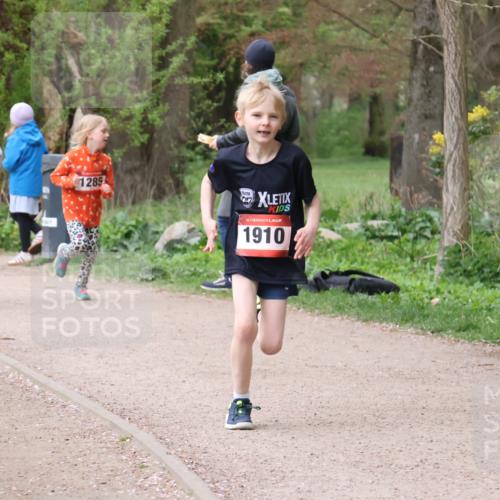 19.04.2026 - Hammer Lauf Lena Gebhardt http://msf.ph/oto/9562967 19.04.2026 09:28:56 Laufen 1265, 1285, 16, 1910 meine-sportfotos.de
